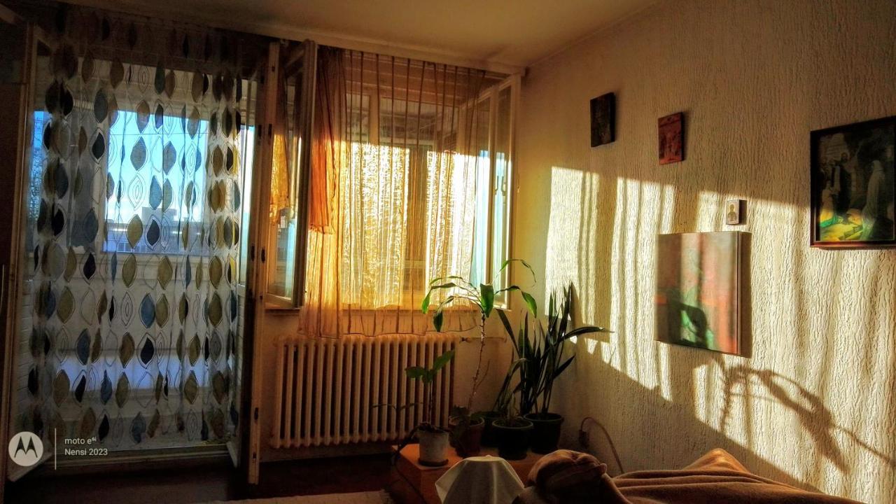 Appartement Men Who Knit à Belgrade Extérieur photo